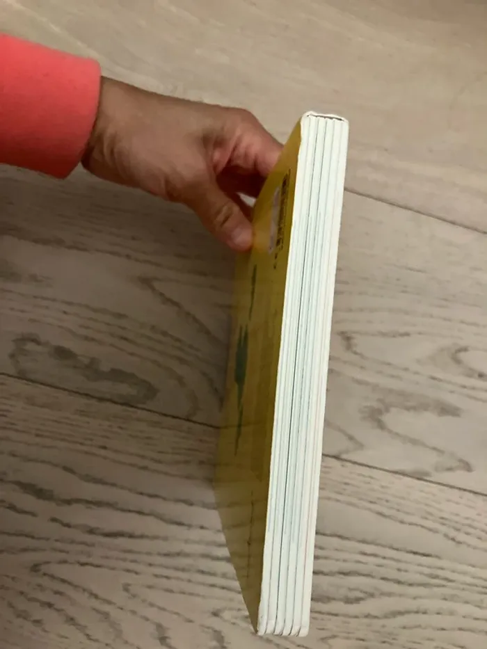 Livre Cric Crac qui est là? - photo numéro 7