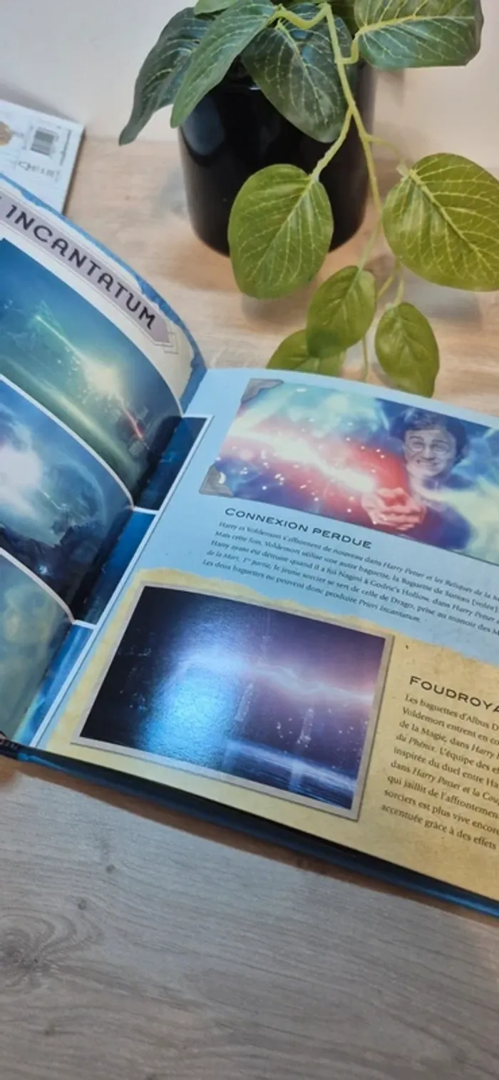 Livre harry potter - photo numéro 7