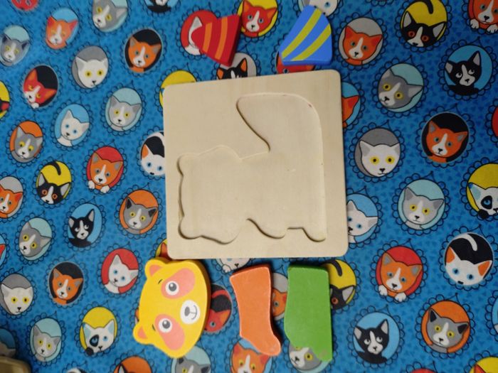 Puzzle bois - photo numéro 2