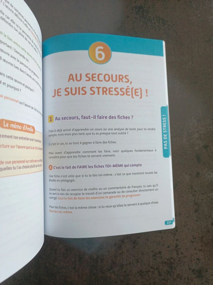 Livre bac de français - photo numéro 9