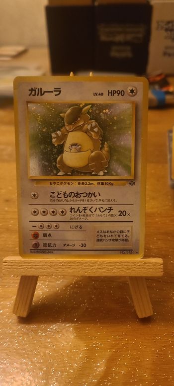 Kangourex holo Jungle wizard