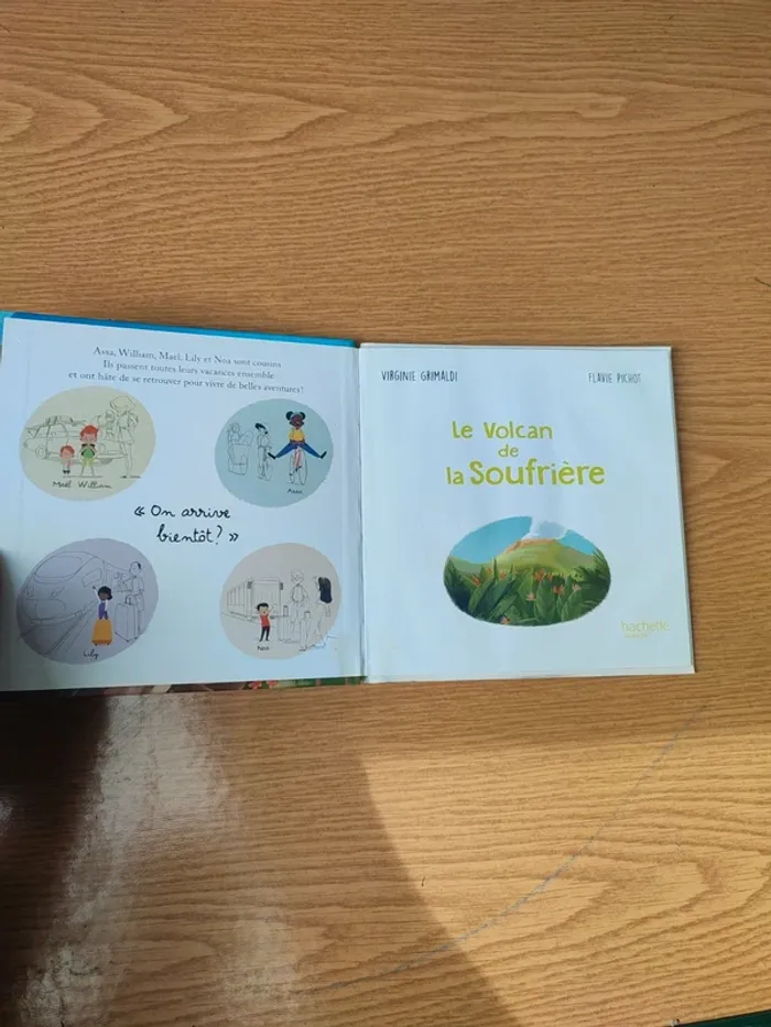 Livre le volcan de la Soufrière - photo numéro 7