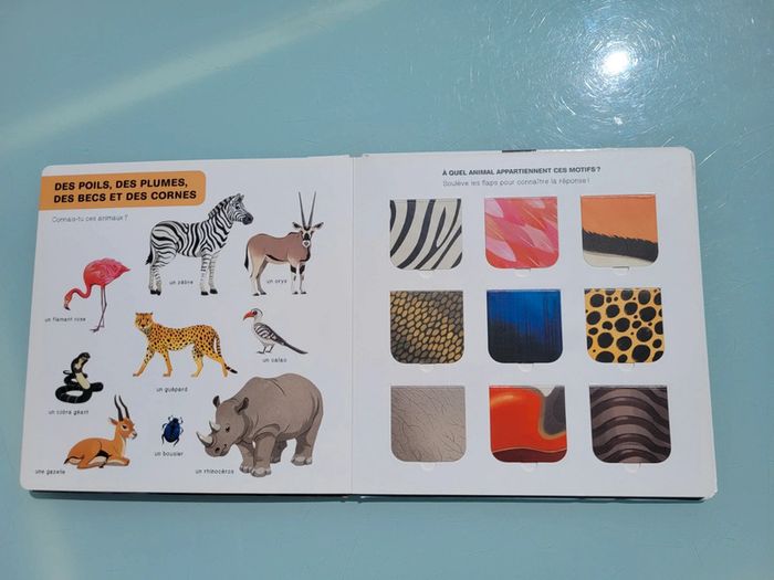 Livre animé Doc flap 🦒 Les animaux de La Savane africaine 🦏 - photo numéro 6