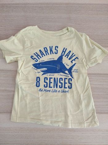 T-shirt requin