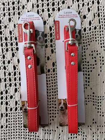 2 laisses d'1.2m pour chats et chiens de petite et moyenne taille