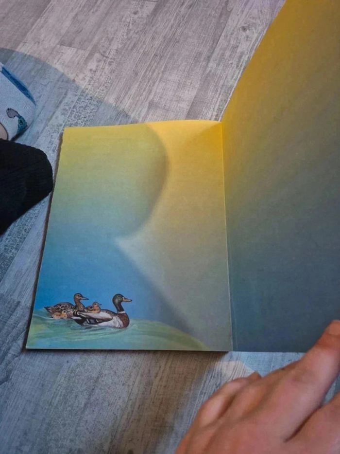 Livre - photo numéro 6