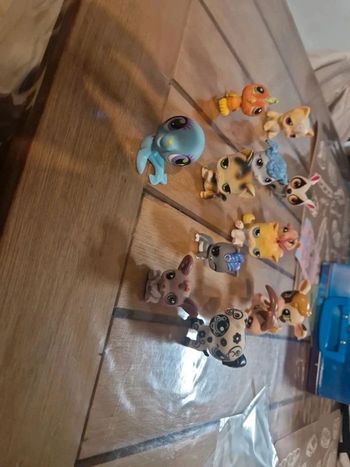 Lot petshop