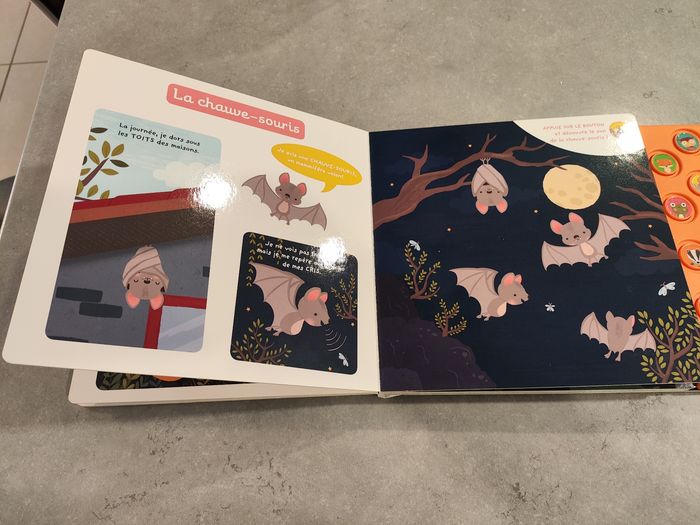 Livre musical bébé – Auzou Éveil – Animaux de la nuit - photo numéro 5