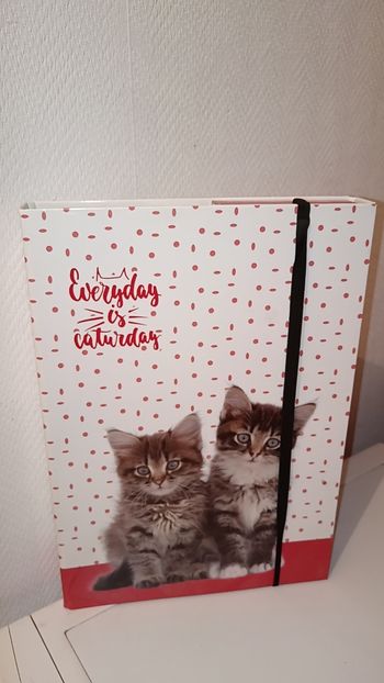 Pochette