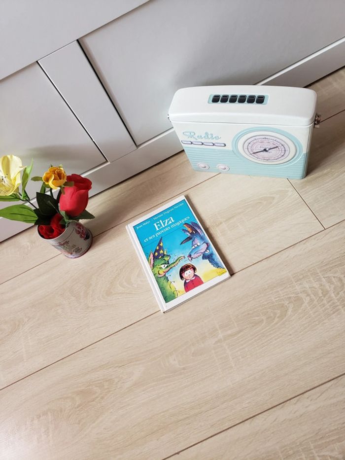 Livre 📖 Elza et ses parents magiques 3€