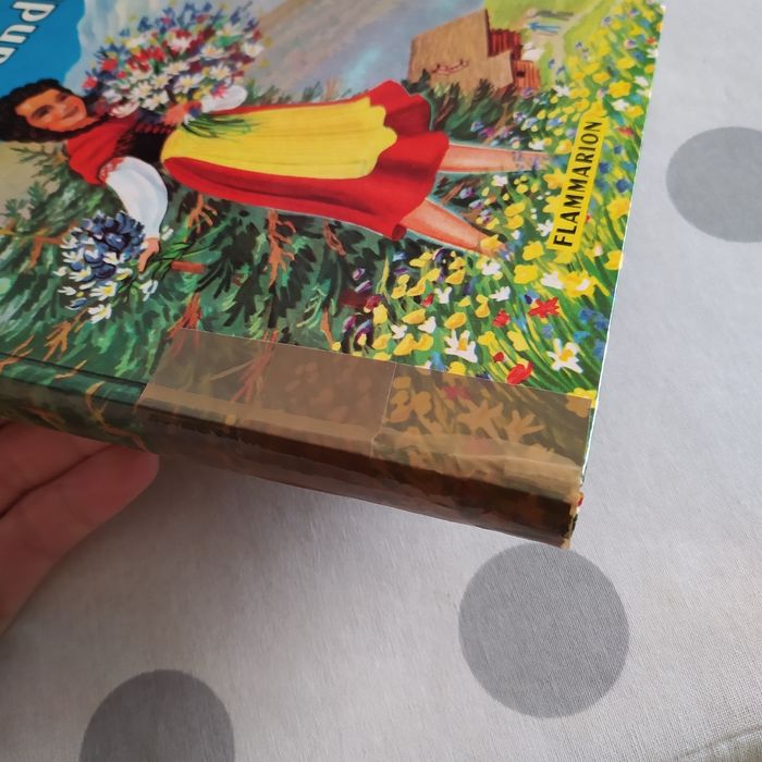 Lot de 9 livres : Johanna Spyri - Heidi - photo numéro 4