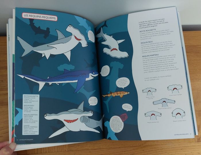 Requins - l'école des loisirs - photo numéro 5