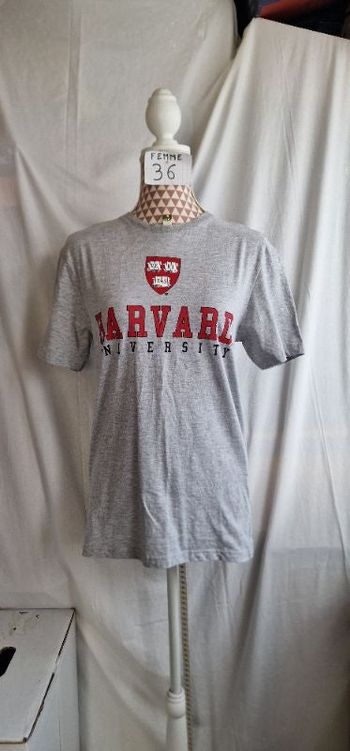 Tee-shirt, gris , a motif rouge , en très très bon état, en coton, longueur 64cm