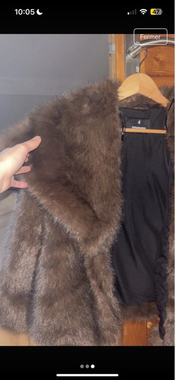 Fourrure stradivarius 