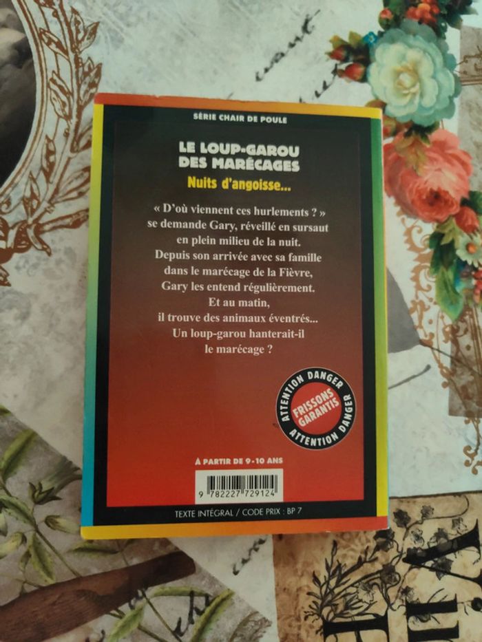 Livre chair de poule 13 - photo numéro 2