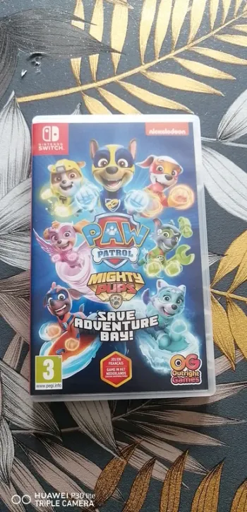 Jeux switch pat patrouille