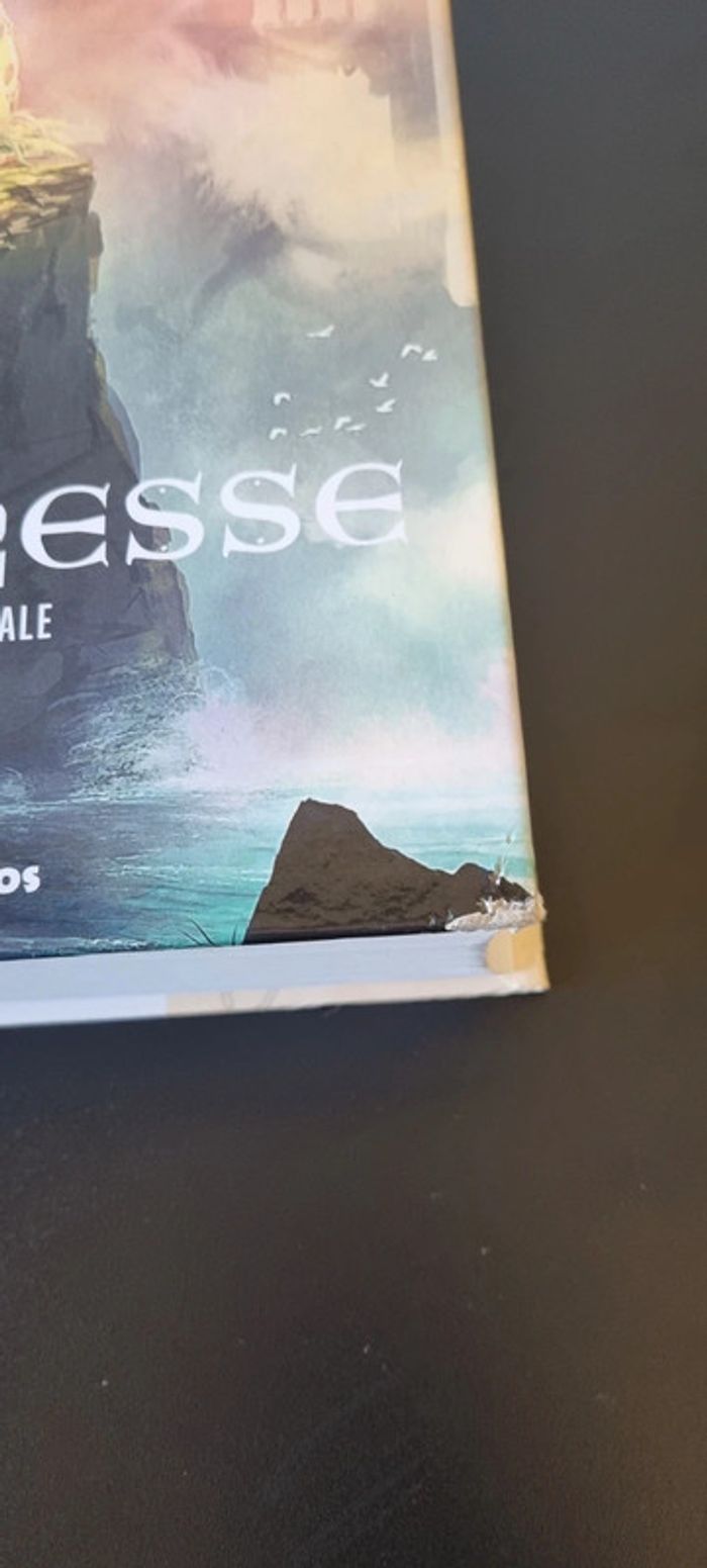 Lyonesse - Intégrale
Jack Vance - photo numéro 4