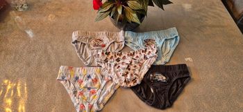 Lot de 5 slips paw patrol nickelodeon 6 ans