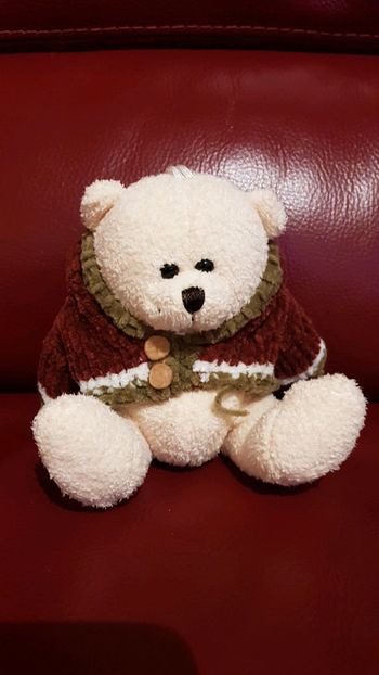 Petit ours en peluche