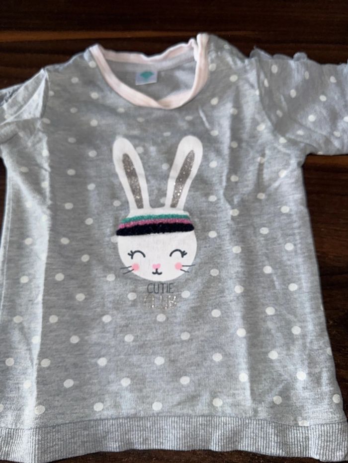 Ensemble lapin - photo numéro 3