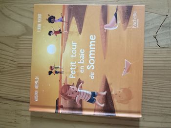 Petit tour en baie de Somme