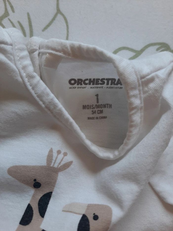 Tee-shirt manche courte 1mois - photo numéro 2