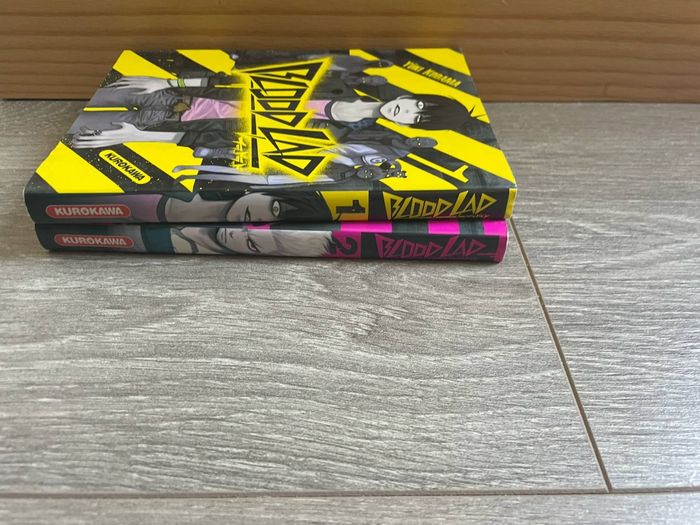 Lot mangas Blood Lad
2 mangas - photo numéro 3