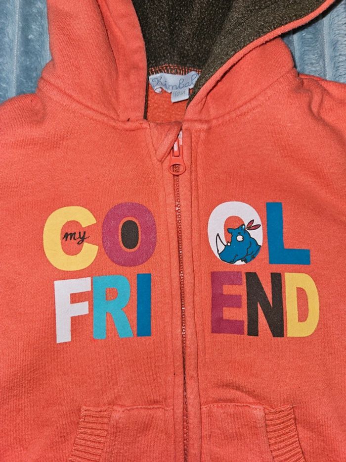 Veste zippée - photo numéro 3