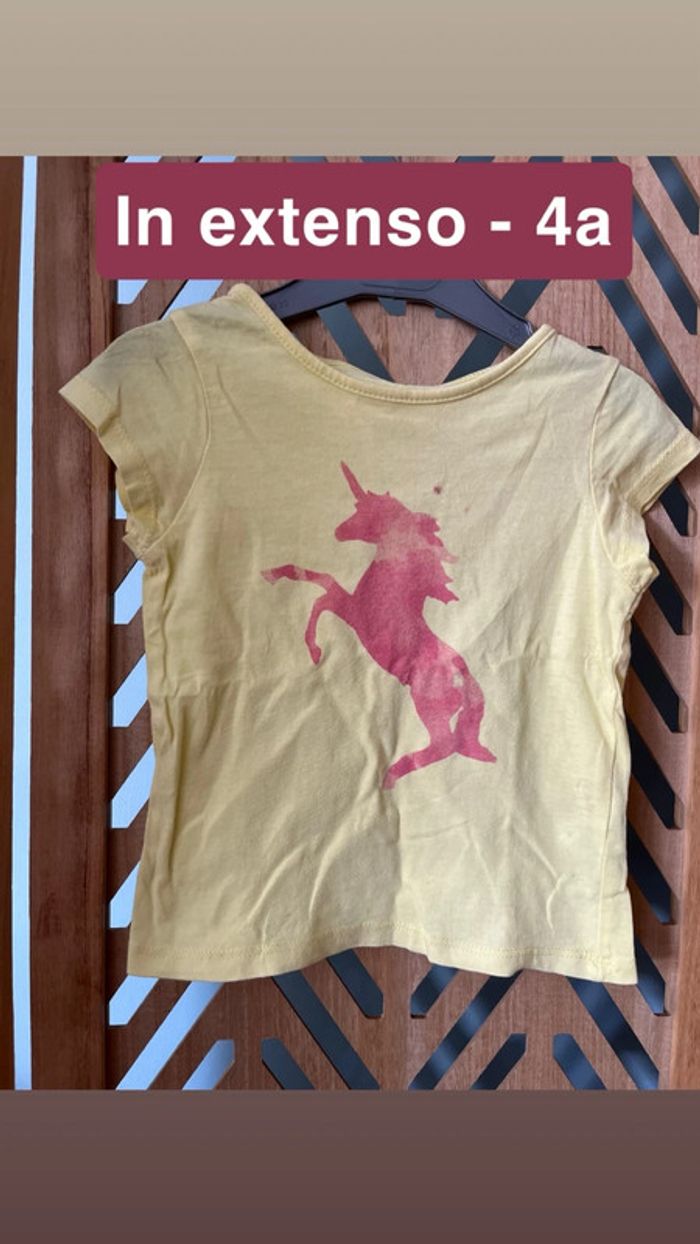 T shirt licorne 4a
