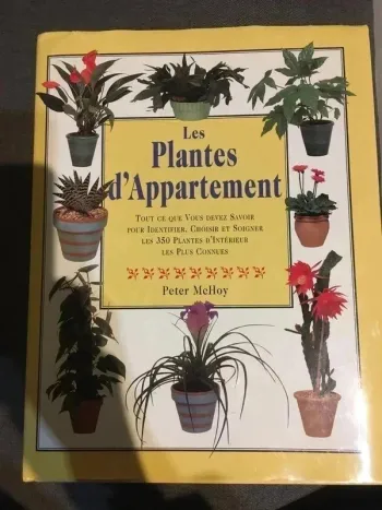 Les plantes d'appartement état neuf
