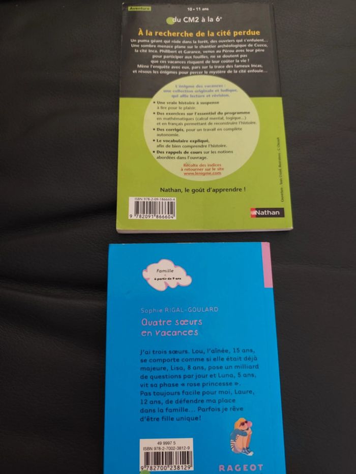 Deux livres pour jeunes lecteurs - photo numéro 2