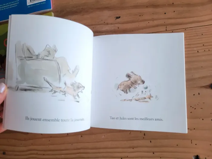 Lot de 5 livres École des Loisirs maternelle - photo numéro 14