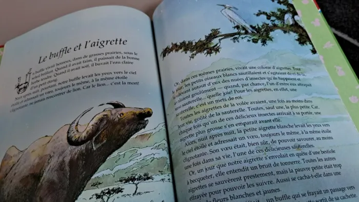 Livre "la vie des animaux" de Fischer-Price - photo numéro 2