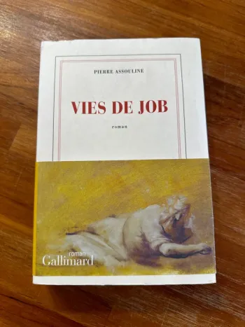 Livre vies de job