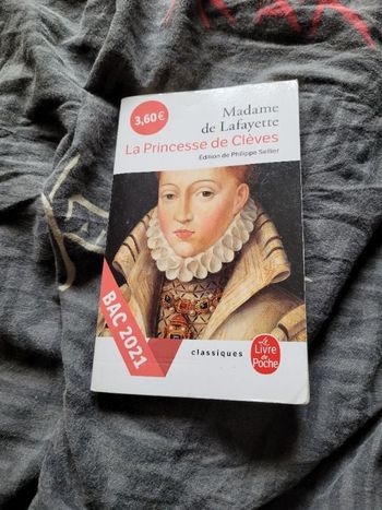 La princesse de Cleves Mme de Lafayette