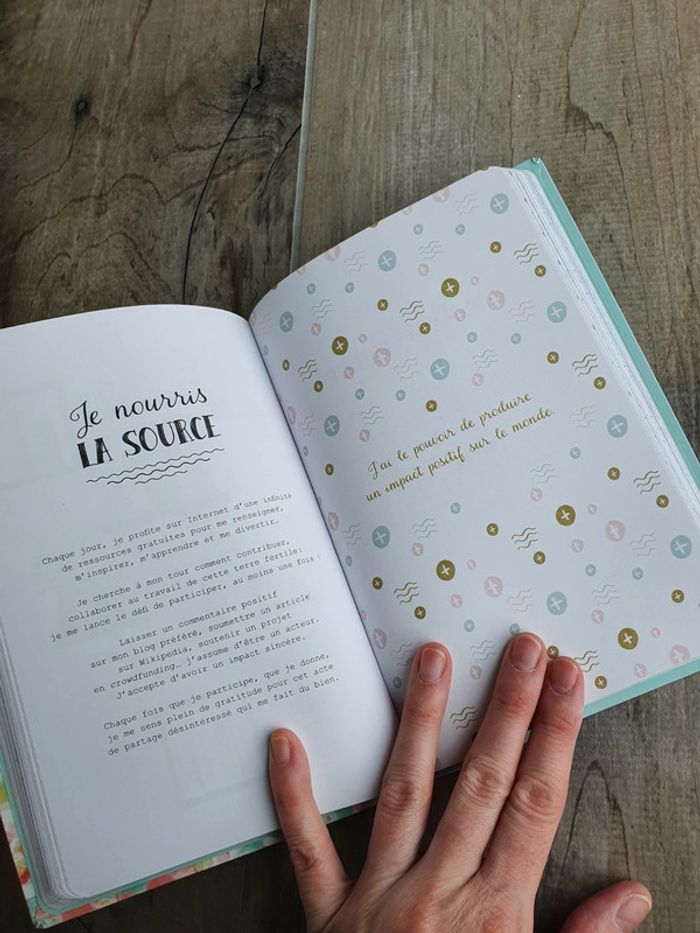 Mon Carnet de Gratitude - photo numéro 2