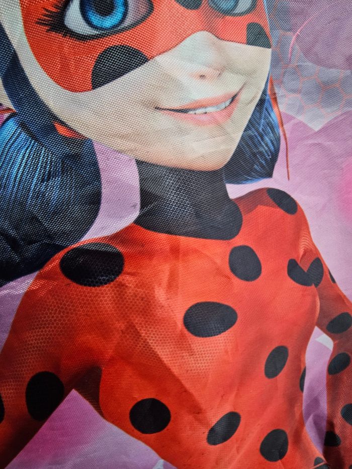 Sac + deguisement gratuit  miraculous - photo numéro 8