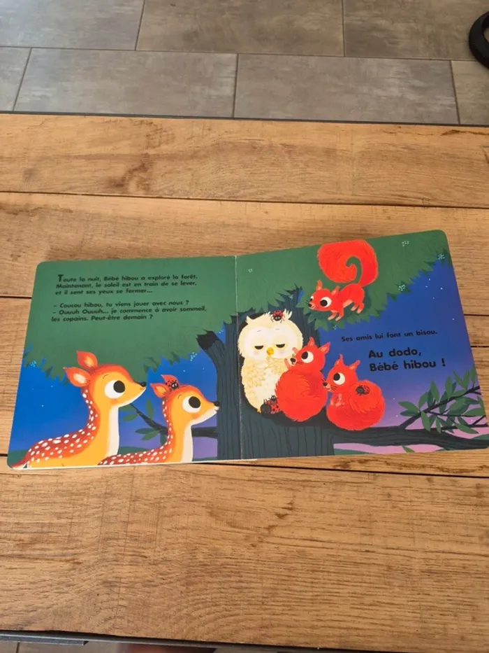 Livre “Au dodo bébé hibou n’a pas sommeil du tout”  Nathan - photo numéro 7