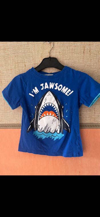 Tee-shirts requin