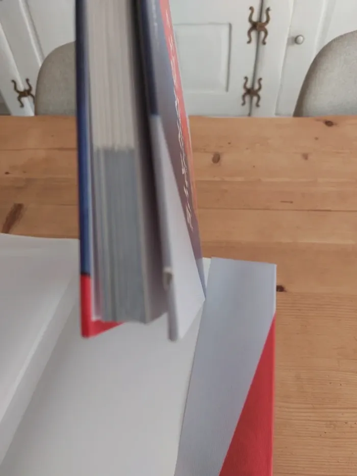 L'histoire de l'Olympique Lyonnais - photo numéro 6