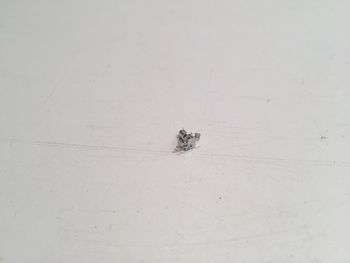 Sigle avant pièce détachée miniature Burago Ferrari 348 tb 1989 1/18 1/18e 1/18ème #A7