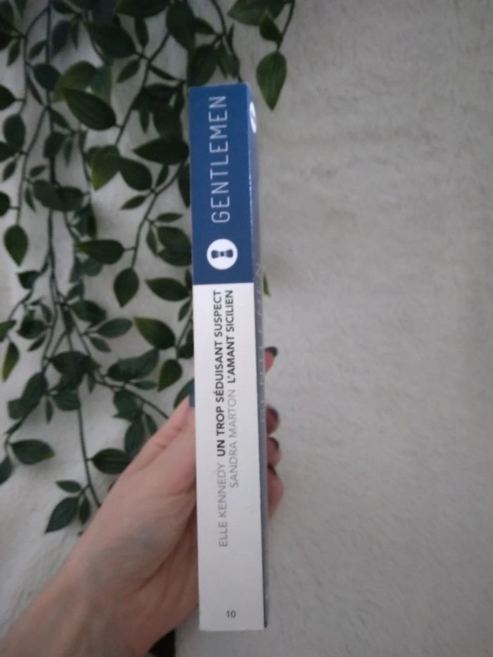 🍁-50% sur les lots🍁🌸Livre romance un trio séduisant suspect 🌸 - photo numéro 4