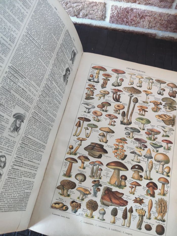 Encyclopédie Larousse illustré - Livre ancien - photo numéro 8