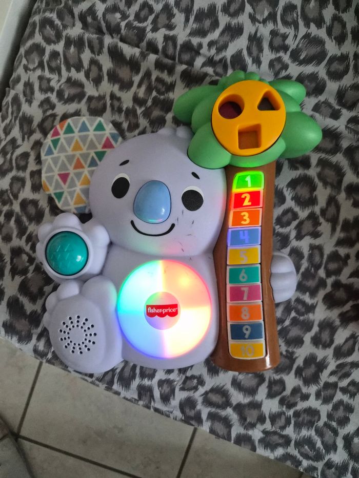 Koala musical - photo numéro 2