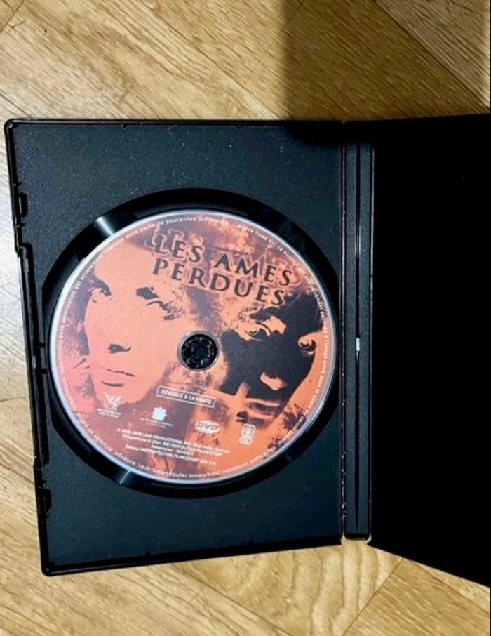 DVD Film D’horreur les âmes Perdues - photo numéro 3