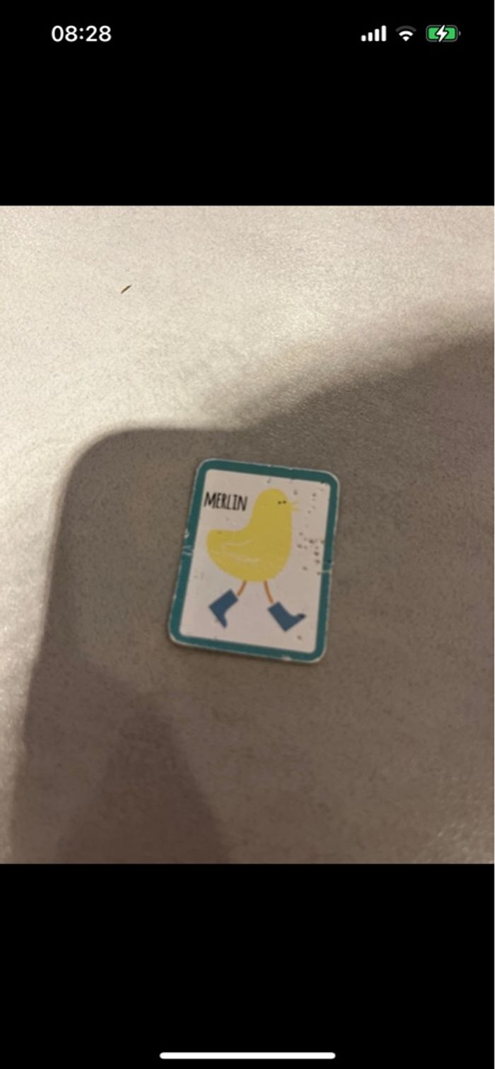 Qui est ce en bois - photo numéro 7