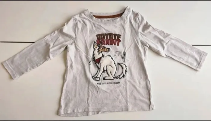 Lot de 10 tee-shirts manches longues garçon taille 4 ans en parfait état - photo numéro 10