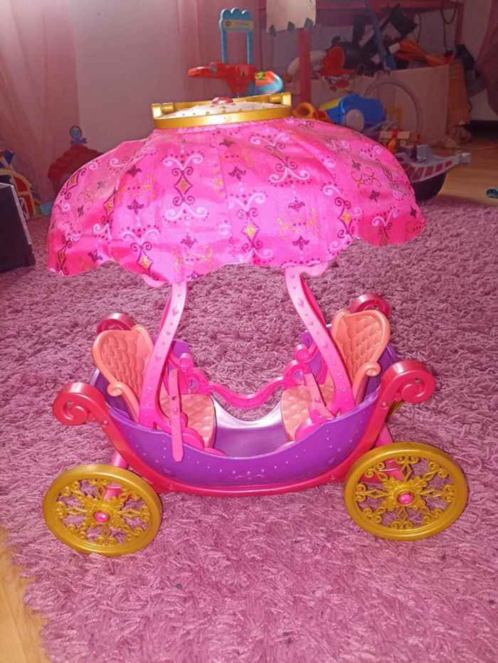 Carosse princesse - photo numéro 2