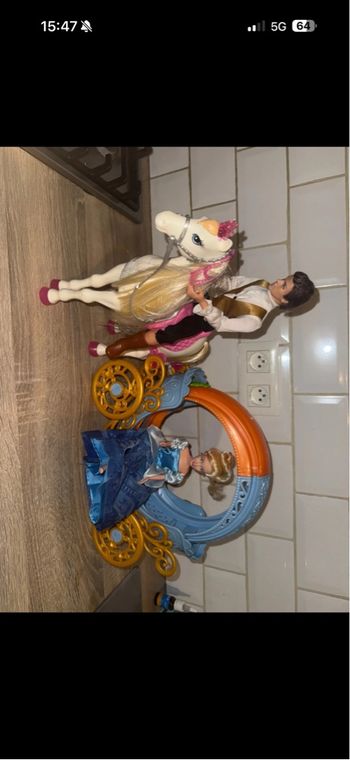Carrosse et son cheval