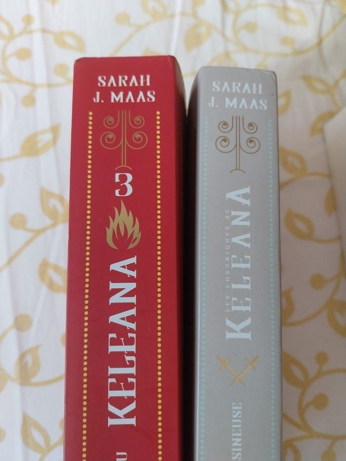 Romans Keleana tomes 1 + 3 + 4 Partie 1 La Reine des Ombres + Préquel 0.5- Sarah J. Maas La Martinière - photo numéro 3